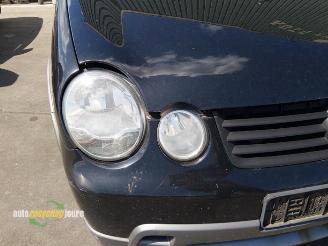 Volkswagen Polo Polo IV (9N1/2/3), Hatchback, 2001 / 2012 1.2 picture 13