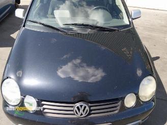 Volkswagen Polo Polo IV (9N1/2/3), Hatchback, 2001 / 2012 1.2 picture 15