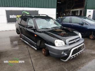 Hyundai Santa Fe Santa Fe I, SUV, 2000 / 2006 2.4 16V 4x2 picture 8