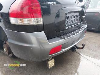 Hyundai Santa Fe Santa Fe I, SUV, 2000 / 2006 2.4 16V 4x2 picture 21
