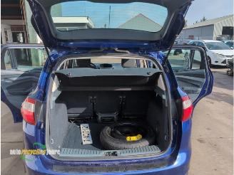 Ford C-Max C-Max (DXA), MPV, 2010 / 2019 1.0 Ti-VCT EcoBoost 12V 125 picture 21