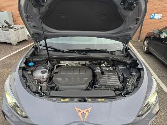 Cupra Terramar VZ 195KW PANO Kuipstoelen Vierwielaandrijving LED VOLLE picture 10