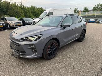 Damaged car Cupra Terramar VZ 195KW PANO Kuipstoelen Vierwielaandrijving LED VOLLE 2025/7