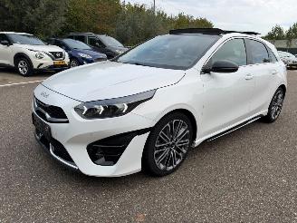Kia Ceed GT Line 160pk PANO Automaat LED picture 17