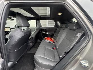 Toyota bZ4X Executive Lounge megavoll alle extra\'s rijdbaar picture 9