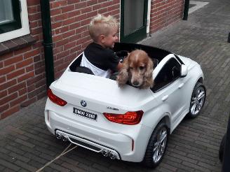 danneggiata altro Alle  GESLOTEN t/m 4 Januari 2026 2026/1