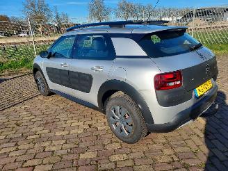 Citroën C4 cactus 1.6 Blue HDI Business Euro 6 picture 4