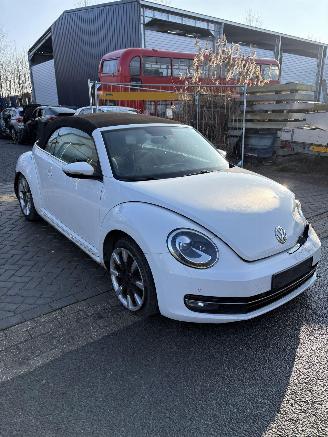  Volkswagen Beetle  2015/7