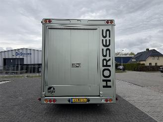 -  RJH  Paardentrailer met living picture 7