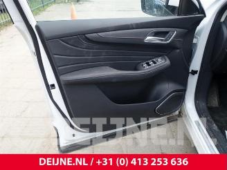 MG EHS HS/EHS, SUV, 2018 1.5 EHS T-GDI Hybrid picture 17
