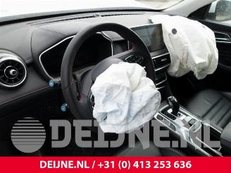 MG EHS HS/EHS, SUV, 2018 1.5 EHS T-GDI Hybrid picture 21