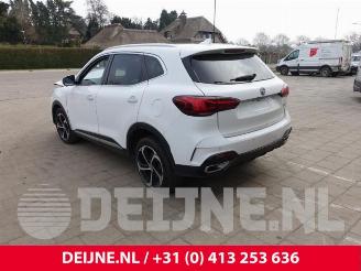 MG EHS HS/EHS, SUV, 2018 1.5 EHS T-GDI Hybrid picture 5