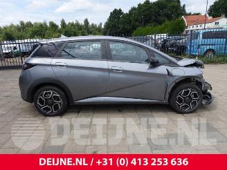 BYD Dolphin Dolphin, Hatchback 5-drs, 2021 60,4 kWh picture 8