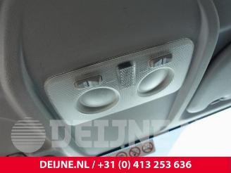Fiat Doblo Doblo Cargo (263), Van, 2010 1.4 16V picture 25