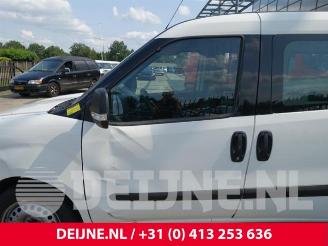 Fiat Doblo Doblo Cargo (263), Van, 2010 1.4 16V picture 15