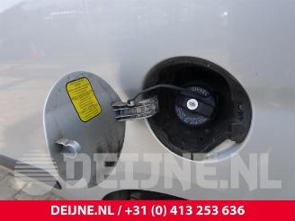 Fiat Doblo Doblo Cargo (263), Van, 2010 1.6 D Multijet picture 35