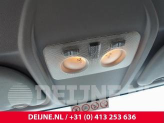 Fiat Doblo Doblo Cargo (263), Van, 2010 1.4 16V picture 24