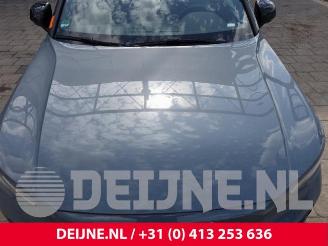 Volvo C-40 C40 Recharge (XK), SUV, 2021 / 2024 Recharge Twin 78 kWh picture 19