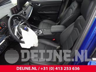 Seres 3 3, SUV, 2020 52kWh picture 29