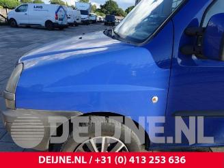 Fiat Doblo Doblo Cargo (223), Van, 2001 / 2010 1.6 16V picture 9