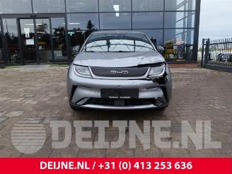 BYD Dolphin Dolphin, Hatchback 5-drs, 2021 60,4 kWh picture 2