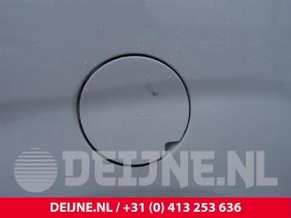 Fiat Doblo Doblo Cargo (263), Van, 2010 1.3 MJ 16V Euro 4 picture 34