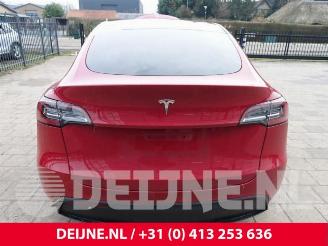 Tesla Model Y Model Y (5YJY), SUV, 2019 / 2025 RWD picture 27