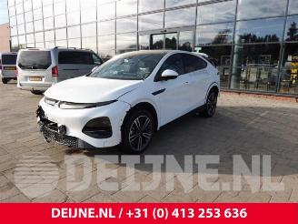 Xpeng G6 G6, SUV, 2023 RWD Standard Range 66 kWh picture 3