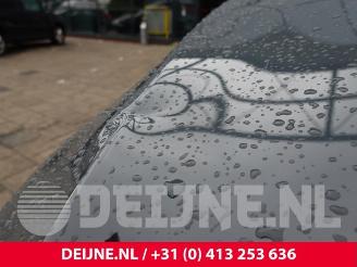 Mercedes Vito Vito (447.6), Van, 2014 2.0 116 CDI 16V picture 10