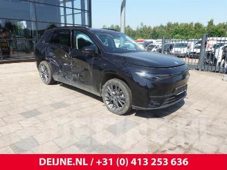 disassembly passenger cars Leapmotor C10 C10, SUV, 2020 69.9 kWh 2025/4