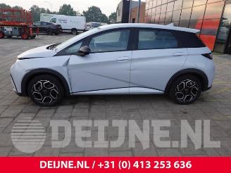 BYD Dolphin Dolphin, Hatchback 5-drs, 2021 60,4 kWh picture 4