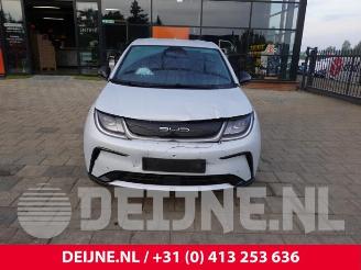 BYD Dolphin Dolphin, Hatchback 5-drs, 2021 60,4 kWh picture 2