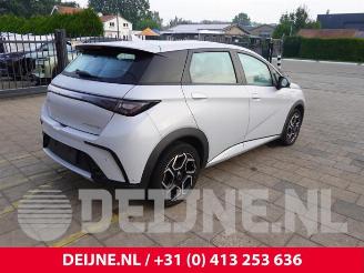 BYD Dolphin Dolphin, Hatchback 5-drs, 2021 60,4 kWh picture 7