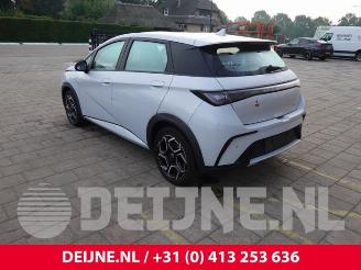 BYD Dolphin Dolphin, Hatchback 5-drs, 2021 60,4 kWh picture 5