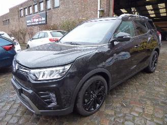 Auto incidentate Ssang yong Tivoli XLV 2024/5