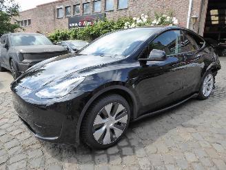 damaged passenger cars Tesla Model Y  2024/1