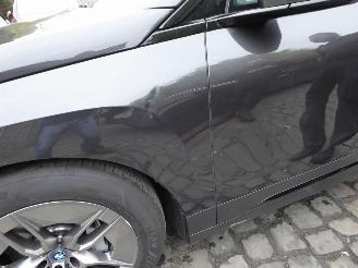 BMW iX 40 xDrive picture 10