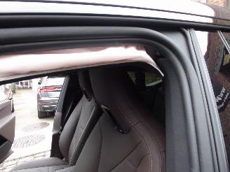 BMW iX 40 xDrive picture 12