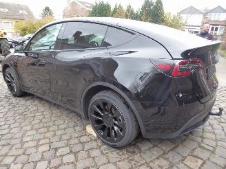 Tesla Model Y Long Range Dual AWD picture 11