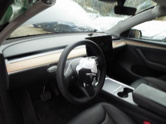 Tesla Model Y Long Range Dual AWD picture 21