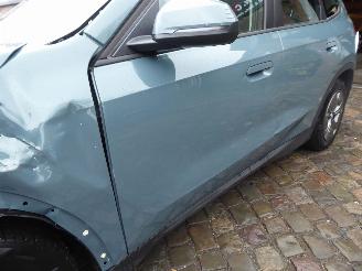 BMW iX1 30 xDrive picture 3