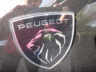 Peugeot 3008 GT picture 40