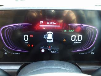 Kia Niro Plug-in Hybrid picture 15