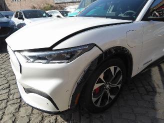 Ford Mustang Mach-e Mach-E Premium picture 2