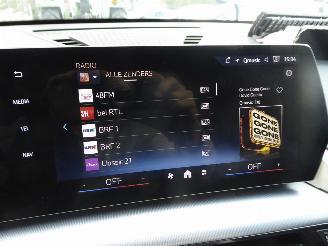 BMW X1 25 e xDrive picture 22