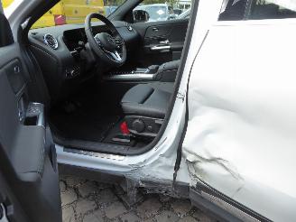 Mercedes EQA 250+ Luxury Line picture 8