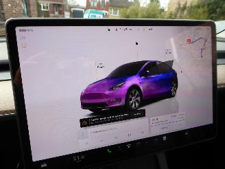 Tesla Model Y  picture 18