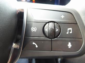 BMW iX1 30 xDrive picture 16