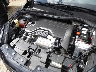 Fiat 600 Hybrid Sonderedition picture 24