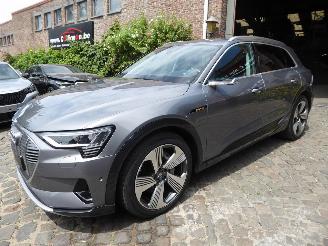 Unfallwagen Audi E-tron 55 quattro advanced 2019/6